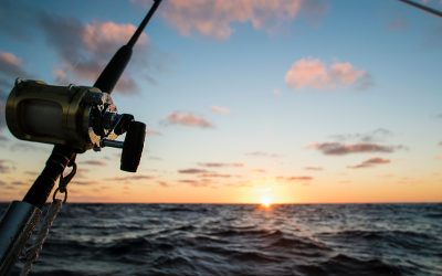 What Features You Should Look for In Buying A Fishing Rod